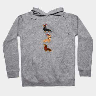 Dachshund Through The Snow Hoodie